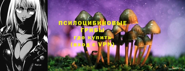 Альфа ПВП Баксан