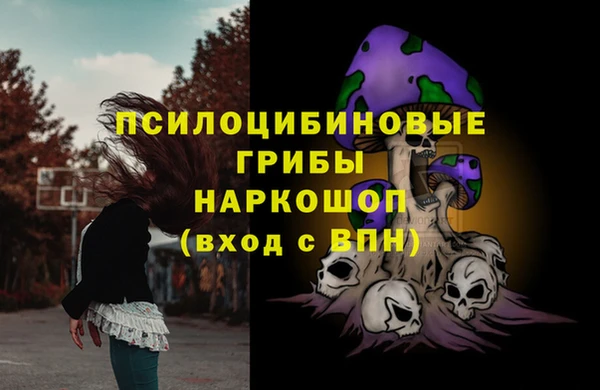 Альфа ПВП Баксан
