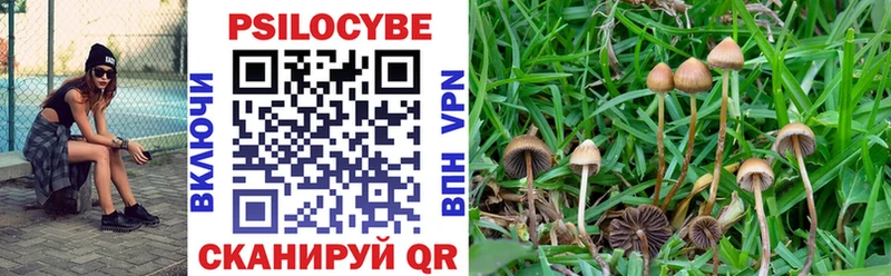 Псилоцибиновые грибы мицелий  Купить  Харабали 